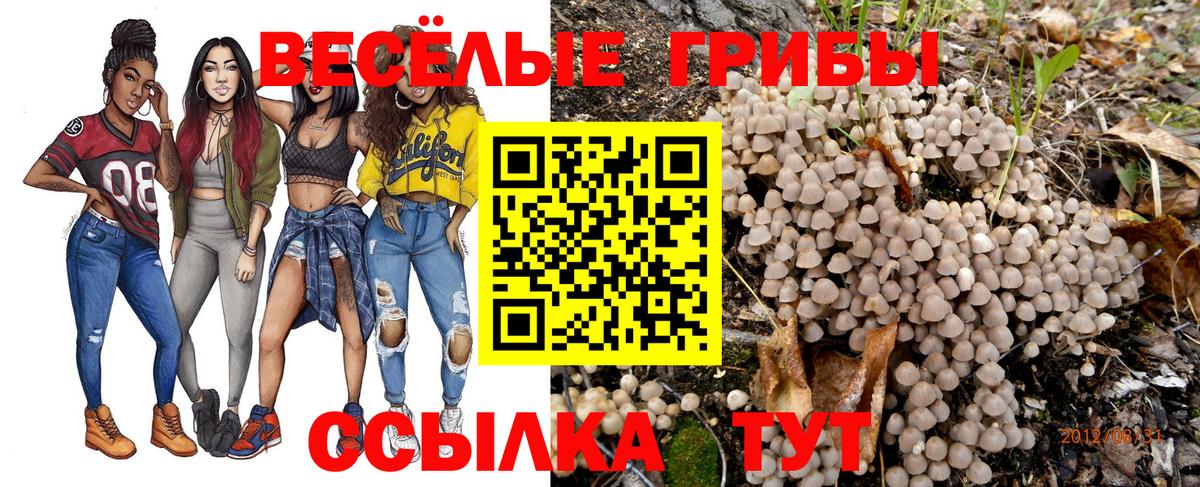 Псилоцибиновые грибы Magic Shrooms Феодосия